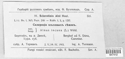 Ciboria alni image